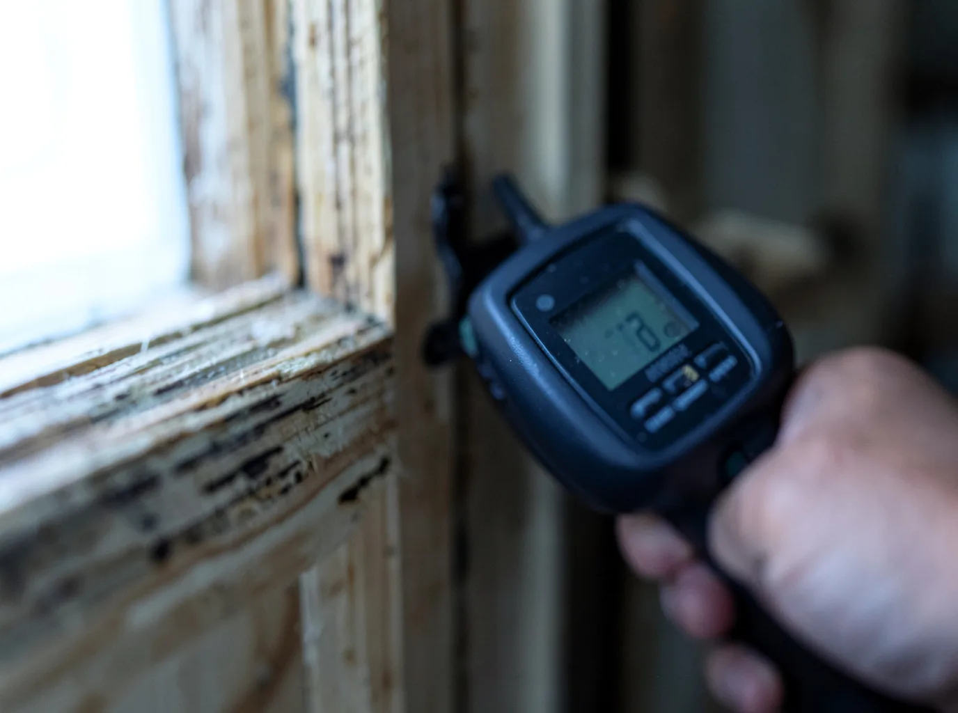 Commercial Water Damage Restoration in Cyrus, MN